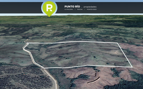 Punto Río | Campo Panorámico En La Zona De Garzon