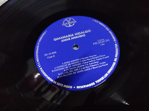 Ginamaria Hidalgo Amar Amando Vinilo,lp,acetato (Usado)