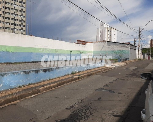 Imagem 3 de 6 de Terreno Para Locação No Bairro Bosque Em Campinas - Te03825 - Te03825 - 68924853