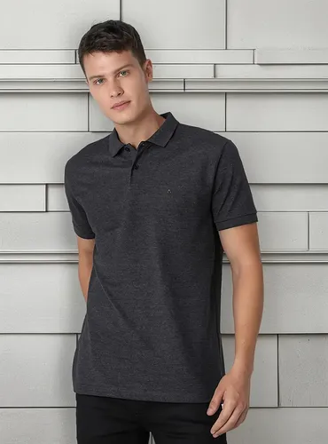 Polo Aramis Masculina Basic Piquet Grafite Mescla