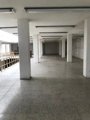 Bodega en renta
