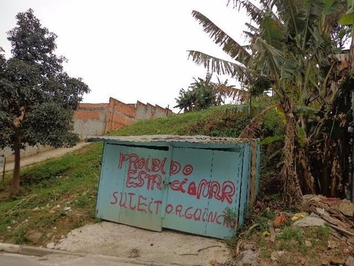 Imagem 3 de 4 de Terreno - Te00005 - 3314977