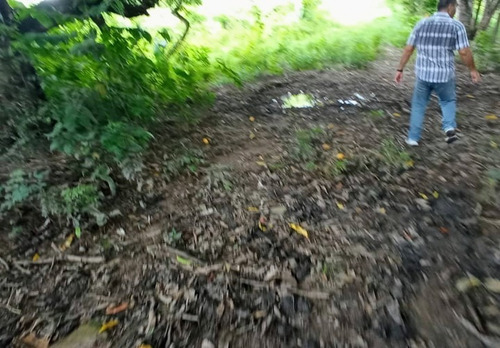 Imagen 20 de 30 de Vendo Finca En Tocuyito Vía Cachinche ( Dt )