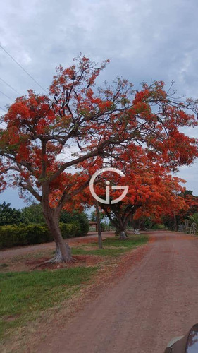 Imagem 4 de 30 de Chácara Nova Na Estância Favoretto - Ch0012