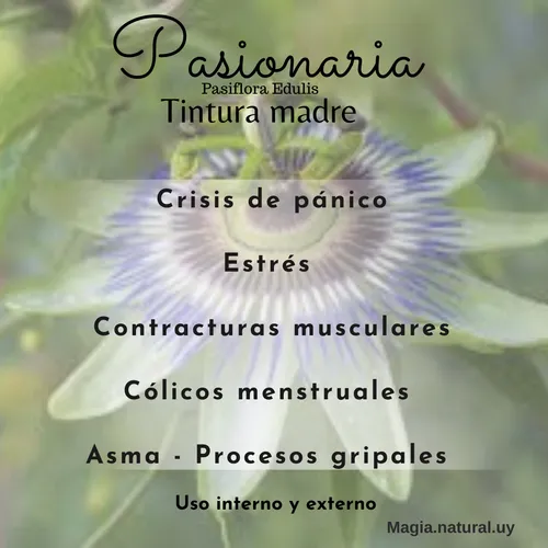 Tintura Madre De Ortiga.30ml. Magia Natural.
