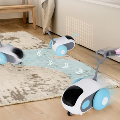 Coche Inteligente Con Ratón Robot De Control Remoto Para Gat