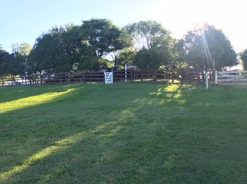 Se Vende Campo Mixto 161 Ha En Los Molinos (córdoba), A Tranquera Cerrada.