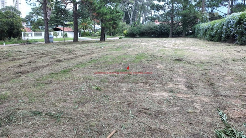 Imagen 4 de 4 de Terreno En Venta Barrio Cantegril, Punta Del Este - Punta Del Este Country