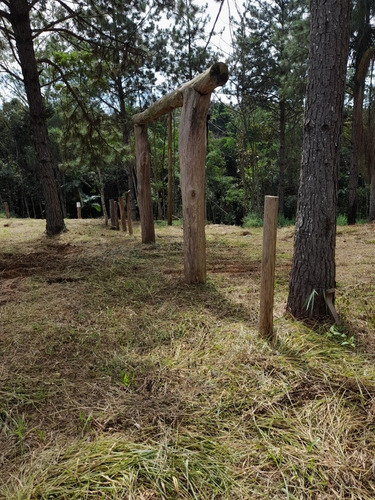 Imagem 3 de 10 de Terreno De 1.000m2 Na Ilha Do Borore Condomínio Fechado