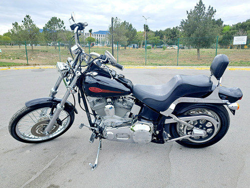 Hd Softail 2005 Lista Para Salir A Viajar!!!