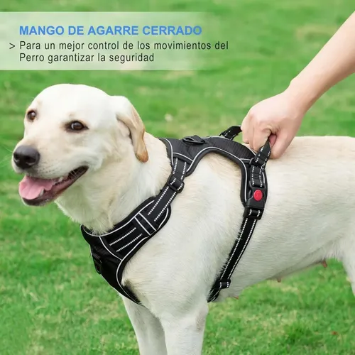 Pechera Anti Tirones Para Perro + Correa Pretal Arnés Verde S
