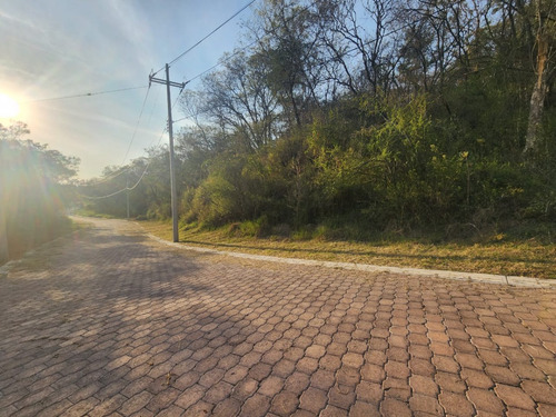 Venta Lote Gladiola 42 Con Vistas Panorámicas Y Todos Los Servicios Y Proyecto Incluído. A Unos Pasos De Las Amenidades En Nueva Zona De Fracc Rancho San Diego Ixtapan De La Sal Edomex