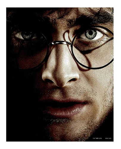 Poster Lenticular Harry Potter 3d - Mosca