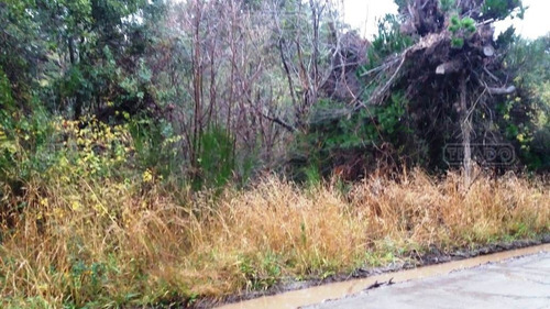 Imagen 2 de 6 de Terreno Lote En Venta Ubicado En Península San Pedro, Bariloche