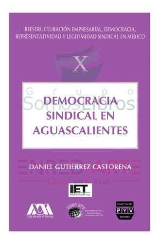 Democracia Sindical En Aguascalientes, Vol. X, Daniel Gutiér