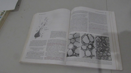 Histologia Básica Autor: Junqueira E Carneiro 8a Edição (Usado)