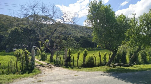 Imagen 2 de 15 de Tibisay Rojas Vende Finca A Pie De Carretera En Aguirre Cerca De Polar.cód.: 165595. Telf. 0414-4173701.