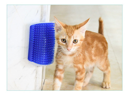 Escova Massageadora Gato Erva Catnip Fita Dupla Face Parede Cor Azul