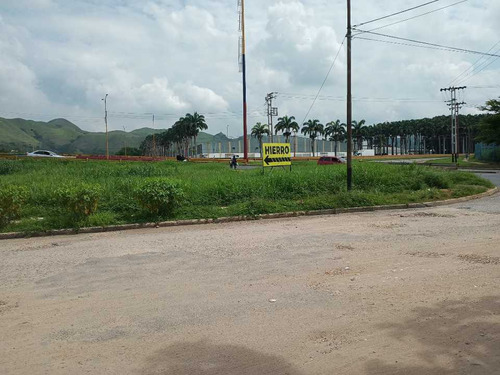 Terreno Frente A La Autopista Tocuyito Valencia  Los Caobos.