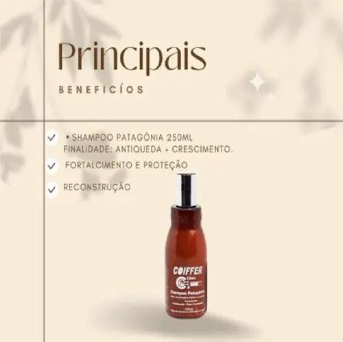 Kit 2 Shampoos Coiffer Patagonia 250ml Estimula Crescimento