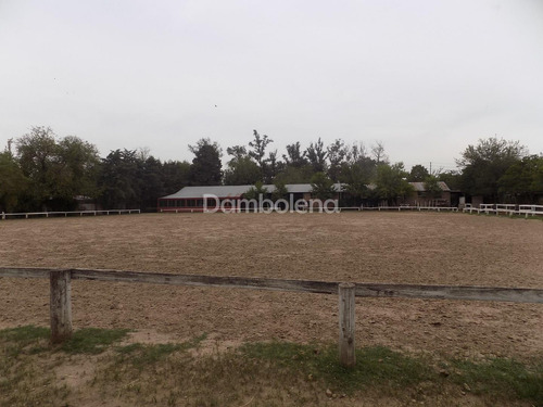 Hipico En Venta En Paso Del Rey, Moreno, G.b.a. Zona Oeste