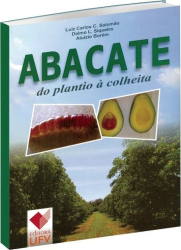 Abacate Do Plantio À Colheita