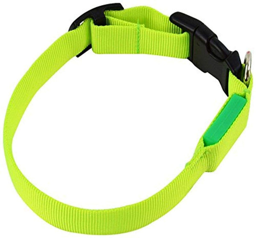 Sassy Dog Wear - Collar Para Perro  1.0 X 14.1 In  Led  Inte