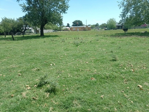 Imagen 3 de 5 de Venta - Lote - Terreno - Navarro