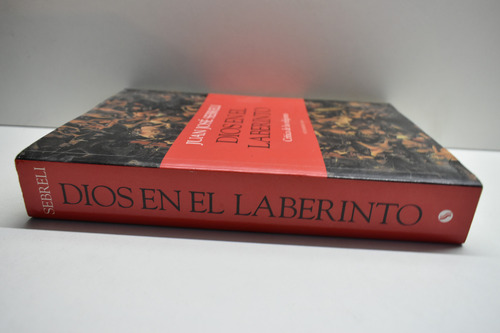 Dios En El Laberinto: Crítica De Las Religiones Sebreli C193