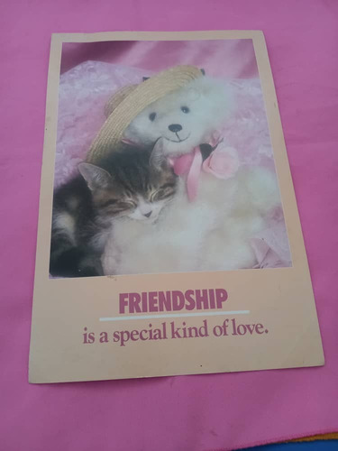 Afiche : Friendship Is A Special Kind Of Love.