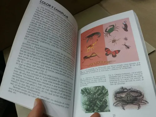 Zoología - Generalidades Y Desarrollo De Los Artrópodos (Usado)