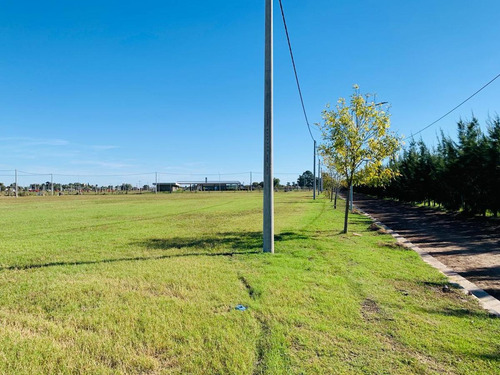 Imagen 7 de 9 de Lotes En Venta Con Todos Los Servicios - Ecopueblo Alvear