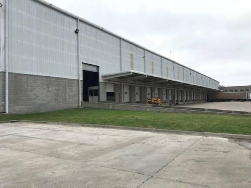 Imagen 7 de 13 de Alquiler De Deposito 4.000 M2 - Tortuguitas