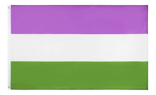 Bandera Lgbt Genderqueer 90 X 150 Cm