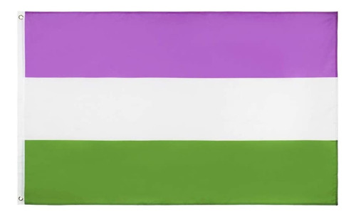 Bandera Lgbt Genderqueer 90 X 150 Cm