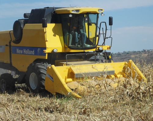 Cabezal De Maíz Para Cosechadora New Holland Tc5070 Nuevo