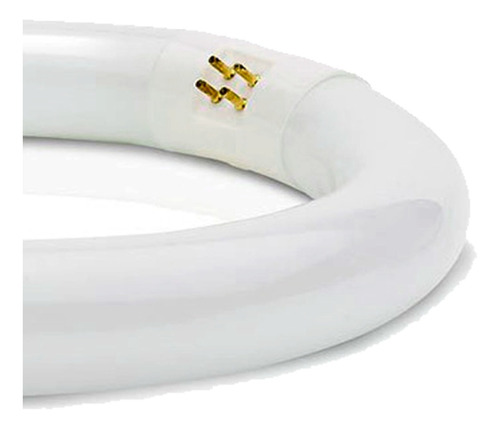 Imagem 2 de 7 de Lâmpada Fluorescente Circular Tl-e 22w/54-765 Branco Frio