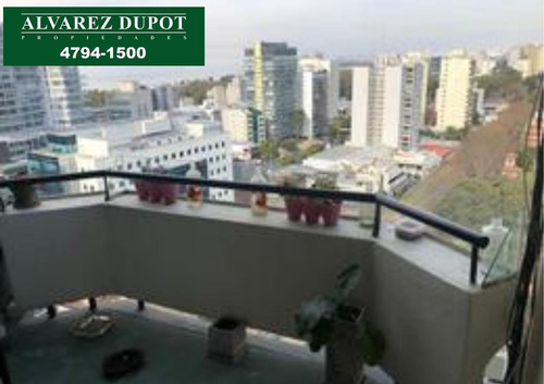 Imagen 1 de 22 de Departamento - Olivos-vias/maipu