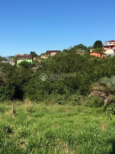 Imagem 8 de 9 de Terreno - Santa Isabel - Ref: 326794 - V-326794
