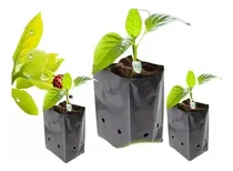 Comprar Bolsas Plantas Almácigos Agricolas 40x40 Kit 100 Unidades