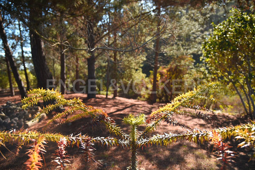 Venta Casa En Pinares De Algarrobo
