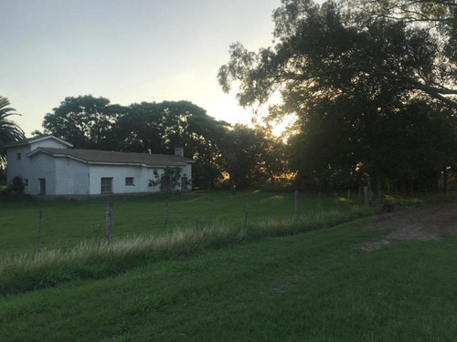 Imagen 14 de 30 de Campo De 173 Hectáreas - Gral. Las Heras - Buenos Aires
