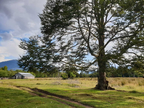 30 Hectáreas Orilla Río Palena (66813)