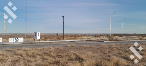 Campo En Senillosa