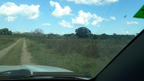 Imagem 14 de 17 de Fazenda - Área Rural A Venda Em Barão De Melgaço - Mt - Fa0191