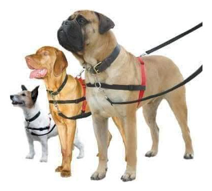 Arnés Halti Front Control Talla L . Antijalones. Para Perros