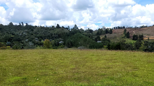 Venta De Lote En Rionegro, Antioquia