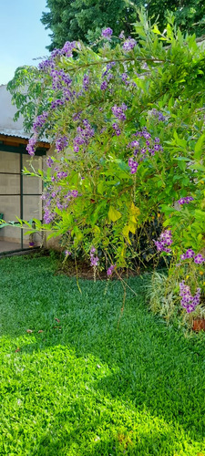 Boulogne - Luminoso Ph Planta Baja 3 Amb Con Amplio Jardín!!