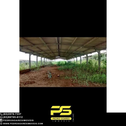 Fazenda Para Alugar, 6.300 M² Por R$ 2.000/mês - Taperoá - Taperoá/pb - Fa0239
