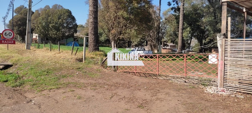 Imagem 1 de 7 de Terreno Para Alugar - 01394.005